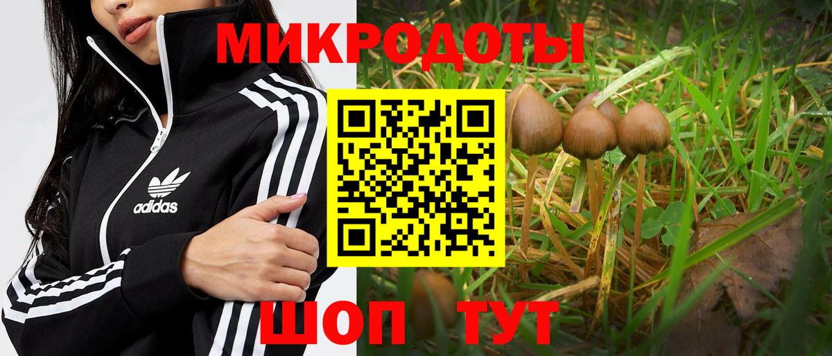 Ржев  Псилоцибиновые грибы ЛСД  Вход с VPN  Галлюциногенные грибы GOLDEN TEACHER 